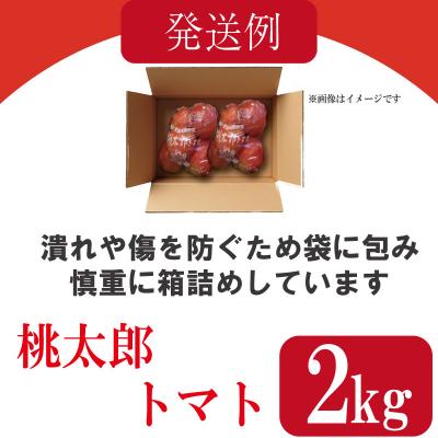 ふるさと納税 小松島市 【2027年1月発送】 トマト 2kg 桃太郎 先行予約  甘い 野菜 やさい 国産 産地直送 |  | 03