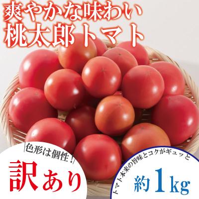 ふるさと納税 小松島市 [2026年1月発送][訳あり] トマト 1kg 桃太郎 先行予約