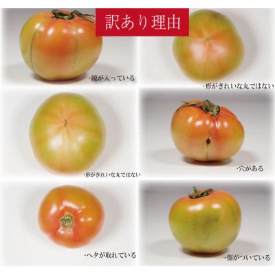 ふるさと納税 小松島市 【2027年2月発送】【訳あり】 トマト 1kg 桃太郎 先行予約 |  | 02