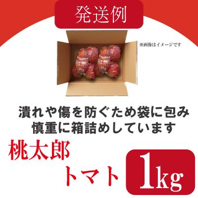 ふるさと納税 小松島市 【2027年2月発送】【訳あり】 トマト 1kg 桃太郎 先行予約 |  | 03
