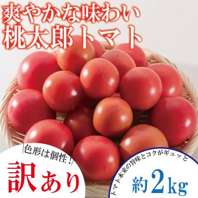 ふるさと納税 小松島市 [2026年2月発送][訳あり] トマト 2kg 桃太郎 先行予約