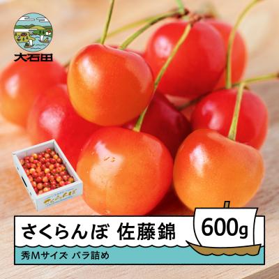 ふるさと納税 大石田町 さくらんぼ 佐藤錦 秀Mサイズ バラ詰め 600g (600g×1箱) 令和9年産 山形県産 | 
