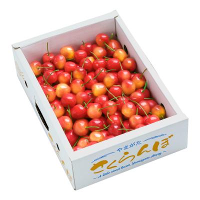 ふるさと納税 大石田町 さくらんぼ 佐藤錦 秀Mサイズ バラ詰め 600g (600g×1箱) 令和9年産 山形県産 |  | 01