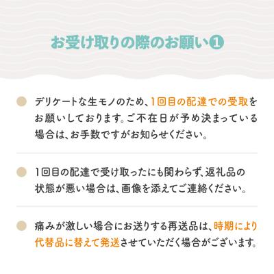 ふるさと納税 大石田町 さくらんぼ 佐藤錦 秀Mサイズ バラ詰め 600g (600g×1箱) 令和9年産 山形県産 |  | 02