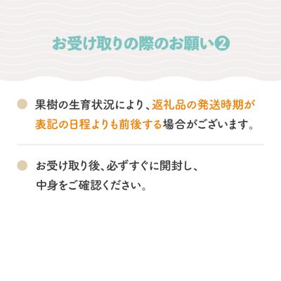ふるさと納税 大石田町 さくらんぼ 佐藤錦 秀Mサイズ バラ詰め 600g (600g×1箱) 令和9年産 山形県産 |  | 03