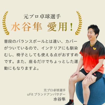 ふるさと納税 渋谷区 uFit Balance Ball　55cm【グレー】 【136005-1】_1