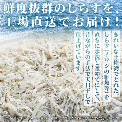 ふるさと納税 香南市 【冷蔵】釜揚げしらす(ちりめん) 約1kg しらす干し しらす mu-0008 |  | 01