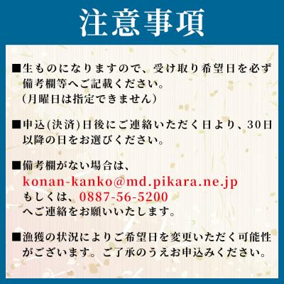 ふるさと納税 香南市 【冷蔵】釜揚げしらす(ちりめん) 約1kg しらす干し しらす mu-0008 |  | 02