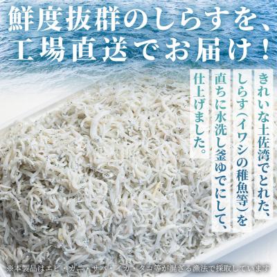 ふるさと納税 香南市 【冷蔵】釜出ししらす(ちりめん) 約1kg しらす mu