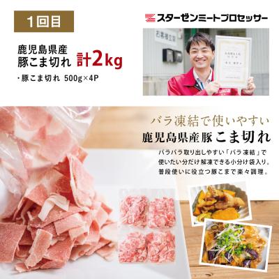ふるさと納税 南さつま市 【定期便 全3回】鹿児島県産 便利な牛肉・豚肉 定期便 計4.6kg |  | 01