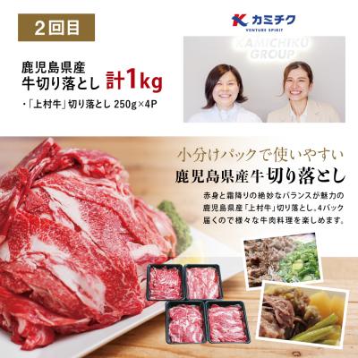 ふるさと納税 南さつま市 【定期便 全3回】鹿児島県産 便利な牛肉・豚肉 定期便 計4.6kg |  | 02