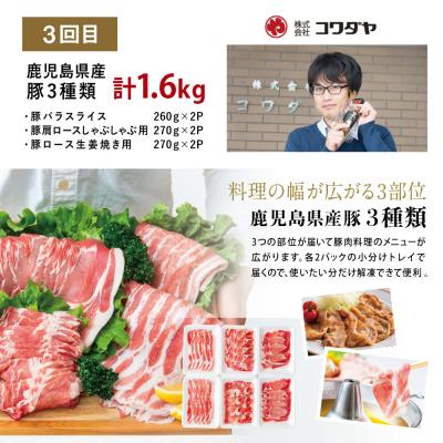 ふるさと納税 南さつま市 【定期便 全3回】鹿児島県産 便利な牛肉・豚肉 定期便 計4.6kg |  | 03