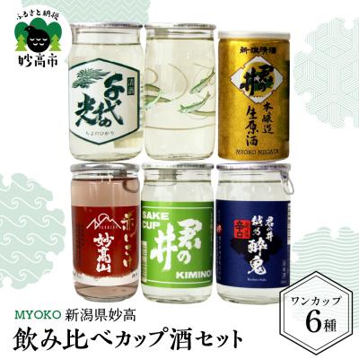ふるさと納税 妙高市 新潟県妙高飲み比べカップ酒セット(妙高エリア)