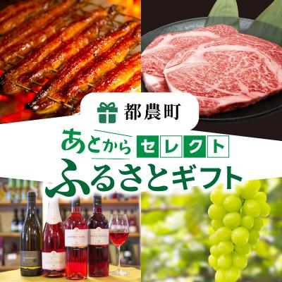 ふるさと納税 都農町 ≪期限1年間≫あとからセレクト 40,000円コース【ふるさとギフト】_T998-007 | 