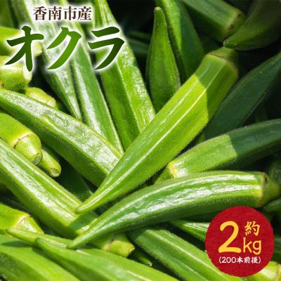 ふるさと納税 香南市 [2027年発送分]オクラ2kg(200本前後) - おくら オクラ 野菜 夏野菜 on-0034
