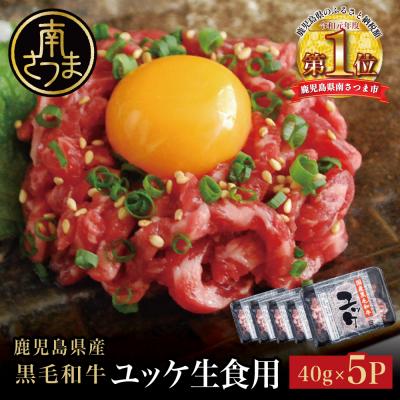 ふるさと納税 南さつま市 [期間限定]鹿児島県産 黒毛和牛ユッケ 40g×5P タレ付 生食認定工場 カミチク