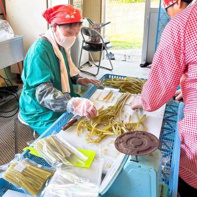 ふるさと納税 土佐清水市 R8年5月以降山菜 ツワブキの水煮 400g×4パック(1.6kg)下処理済み 冷凍【R01450】の画像