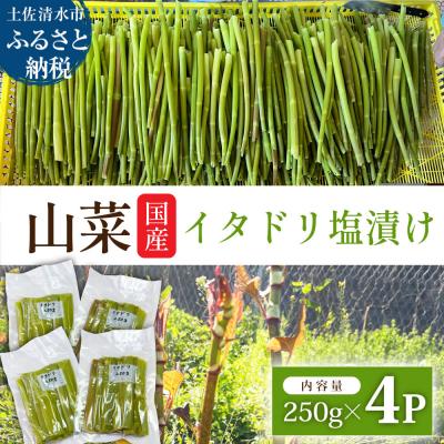 ふるさと納税 土佐清水市 R8年5月山菜 イタドリの塩漬け 250g×4パック(1kg)下処理済み 冷凍野菜[R01449]