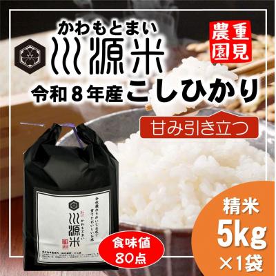 ふるさと納税 東広島市 川源米 令和8年産こしひかり 出荷直前精米 5kg