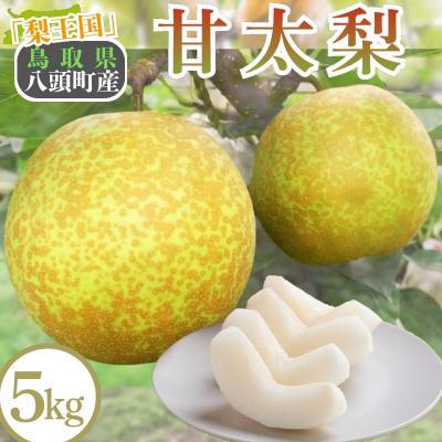 ふるさと納税 八頭町 鳥取県八頭町産「甘太梨」5kg