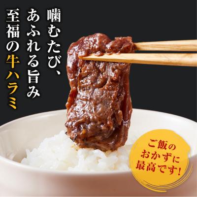 ふるさと納税 川崎市 【順次発送】訳あり 牛ハラミ 特製たれ漬 2.1kg 牛肉 お肉 肉 タレ漬け ハラミ 焼肉 焼き肉 |  | 02