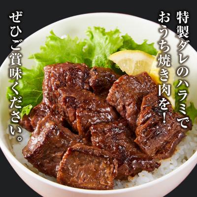 ふるさと納税 川崎市 【順次発送】訳あり 牛ハラミ 特製たれ漬 2.1kg 牛肉 お肉 肉 タレ漬け ハラミ 焼肉 焼き肉 |  | 03