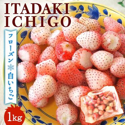ふるさと納税 小郡市 [訳あり]冷凍いちご 白いちご 1kg入り[No5354-2232]