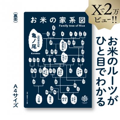 ふるさと納税 庄内町 山形庄内かめこめプロジェクト お米の家系図 クリアファイル A4 1枚 オリジナル グッズ 文房具 |  | 01