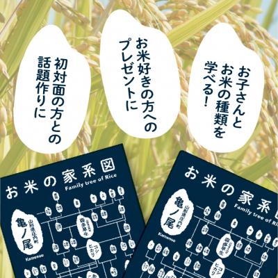 ふるさと納税 庄内町 山形庄内かめこめプロジェクト お米の家系図 クリアファイル A4 1枚 オリジナル グッズ 文房具 |  | 03