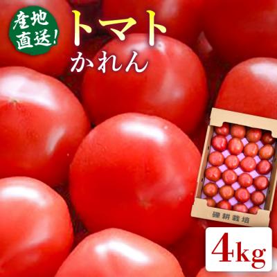 ふるさと納税 糸島市 [先行受付]糸島産トマト かれん ( 4kg 28玉 前後 ) 糸島市 / シーブ 