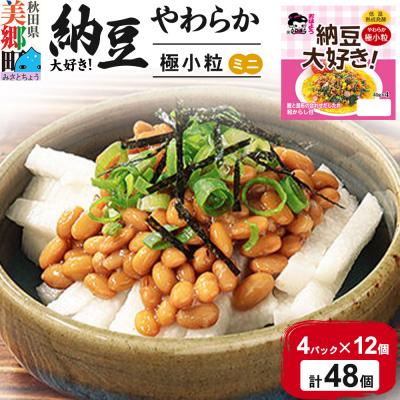 ふるさと納税 美郷町 ヤマダフーズ 納豆大好きやわらか極小粒ミニ4パック×12個(計48個)|01_ymf-204801