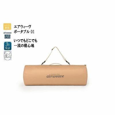 ふるさと納税 大府市 [お米2kg付]エアウィーヴ ポータブル 01