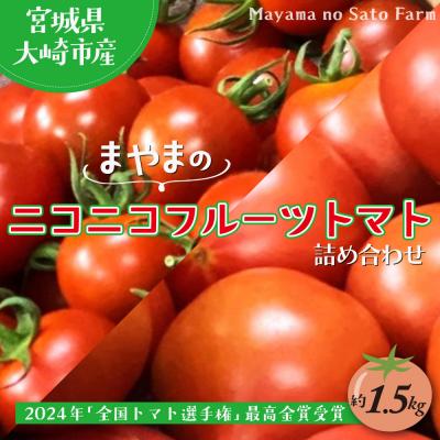 ふるさと納税 大崎市 大崎市産まやまのニコニコフルーツトマト1.5kg・最高金賞・先行予約