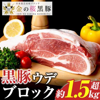 ふるさと納税 いちき串木野市 &lt;塊肉&gt;金の桜黒豚 ウデ肉 ブロック 約1.5kg超え 鹿児島県産 黒豚 ブロック肉