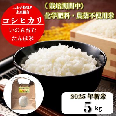 ふるさと納税 小松島市 [令和7年産新米]米 コシヒカリ 5kg 天皇献上米 (栽培期間中)化学肥料・農薬不使用米 白米