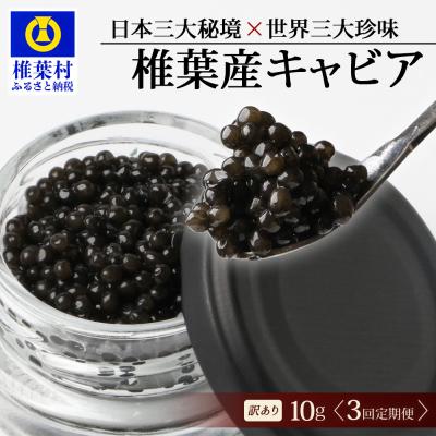 ふるさと納税 椎葉村 [3回定期便][訳あり]国産 キャビア HEIKE CAVIAR 10g × 3回 計30g