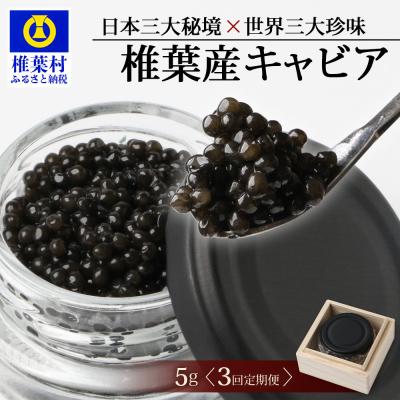 ふるさと納税 椎葉村 [3回定期便][桐箱入り]キャビア 5g × 3回配送 計15g[世界三大珍味×日本三大秘境]