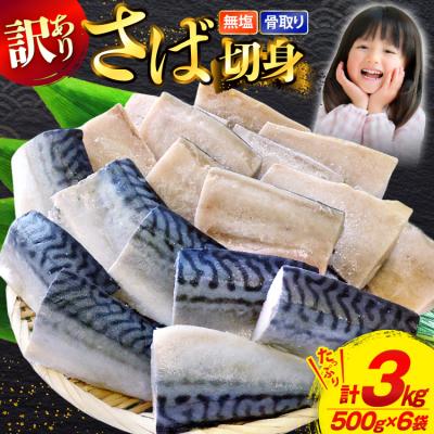 ふるさと納税 気仙沼市 訳あり 骨取り トロ さば 切身 計3kg (500g×6p) [足利本店 20565813]