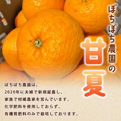 ふるさと納税 西予市 【先行受付】<ぼちぼち農園の甘夏 家庭用 約5kg