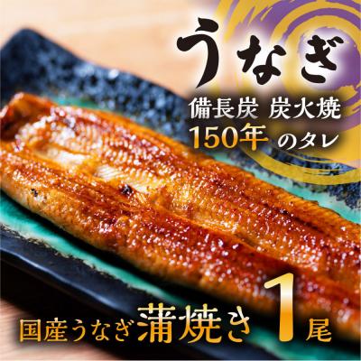 ふるさと納税 栃木市 数量限定 国産うなぎ 蒲焼き(長焼き)1本 [オリジナル御朱印付き]