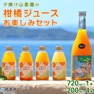 ふるさと納税 西予市 &lt;夕焼け山農園の柑橘ジュースお楽しみセット 720ml×1本/200ml×4本&gt; ストレートジュース