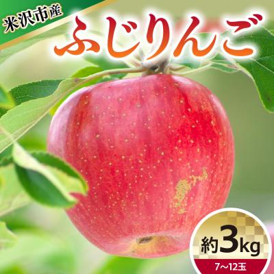 ふるさと納税 米沢市 [令和8年産] ふじ ( りんご ) 約3kg 7〜12玉 〔12月上旬〜お届け〕 2026年産