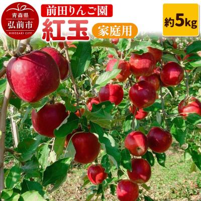 ふるさと納税 弘前市 [26年10月発送]りんご[家庭用]紅玉 約5kg 前田りんご園|24_mre-100501