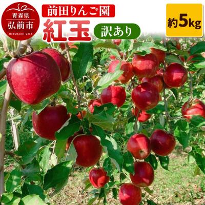 ふるさと納税 弘前市 [26年10月発送]りんご[訳あり]紅玉 約5kg 前田りんご園|24_mre-110501