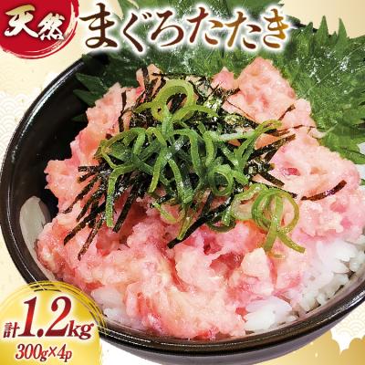 ふるさと納税 気仙沼市 訳あり 冷凍 まぐろたたき ネギトロ 計1.2kg (300g×4p) 