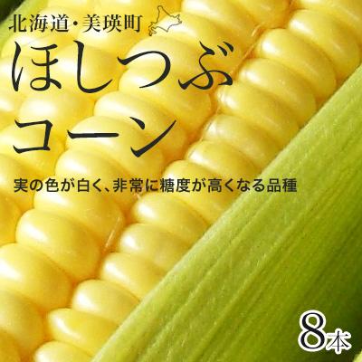 ふるさと納税 美瑛町 とうもろこし ほしつぶコーン 8本 [令和8年産先行受付!]黒木農場