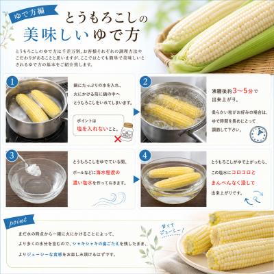 ふるさと納税 美瑛町 とうもろこし ほしつぶコーン 8本 【令和9年産先行受付】北海道 黒木農場 |  | 02