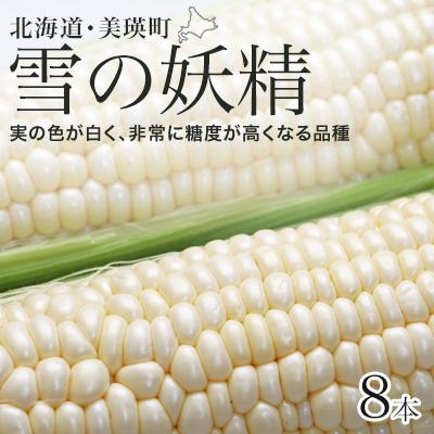 ふるさと納税 美瑛町 とうもろこし 雪の妖精 8本[令和8年産先行受付!]黒木農場