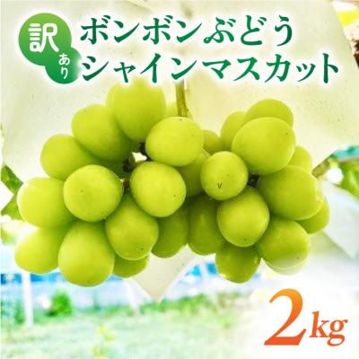 ふるさと納税 東御市 [先行受付2026年発送]訳アリボンボンぶどう!シャインマスカットたっぷり2kg|信州東御ぶどう園
