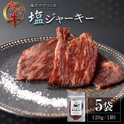 ふるさと納税 宮崎県 塩だけでつくる 宮崎牛 塩ジャーキー 5袋(20g×5袋)ブランド牛 ビーフジャーキー おつまみ | 